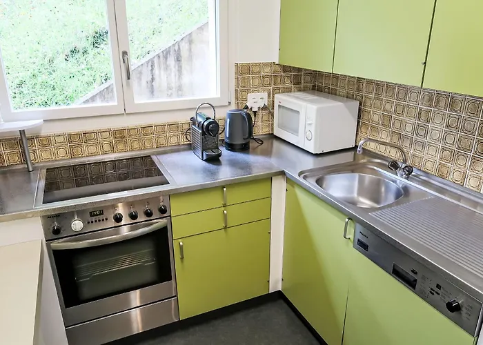 公寓 Ringstrasse 216 By Interhome *