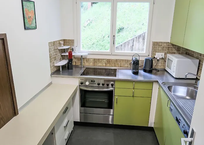 Ringstrasse 216 By Interhome