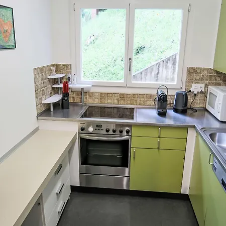 Ringstrasse 216 By Interhome